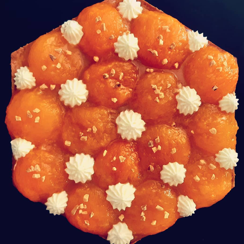 Tartes aux abricots pêches